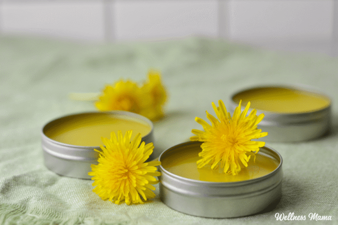 How-to-Make-Dandelion-Salve-For-Sore-Muscles-and-Healthy.png