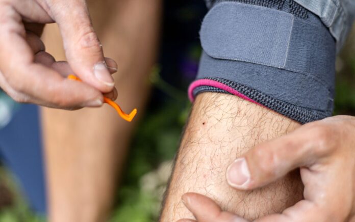 What-is-Lyme-disease-and-how-is-it-diagnosed-and.jpg