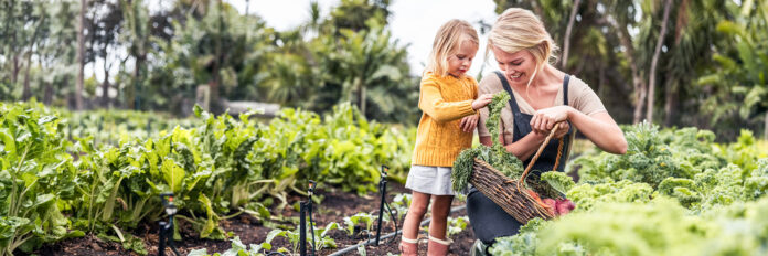 5-natural-remedies-for-allergies-to-try-this-season.jpg