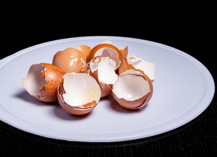 Eggshell-Membrane-Fast-Acting-Joint-Support-Hiding-in-Your-Breakfast.jpg