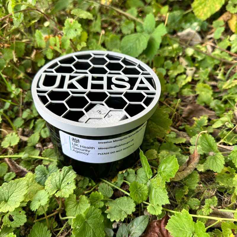A UKHSA ovitrap sitting on the ground